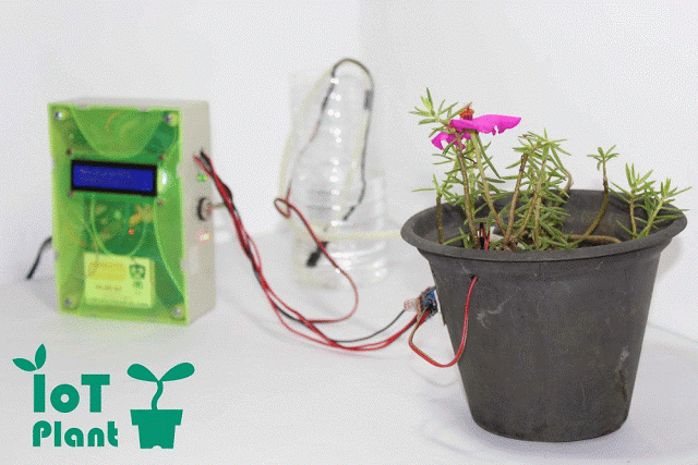 物联网监控植物 - 让你可以从世界各地种植植物