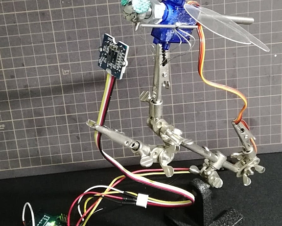 头部摆动的蜻蜓